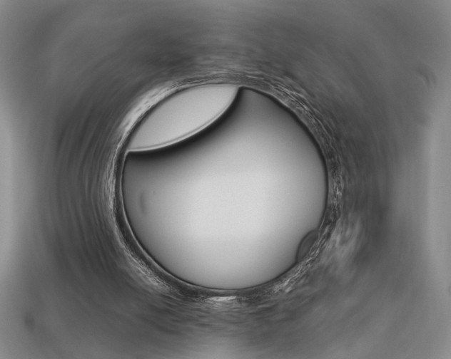X0000113780054200909231050