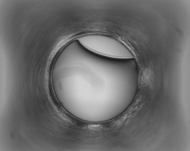 X0000113780055200909231050