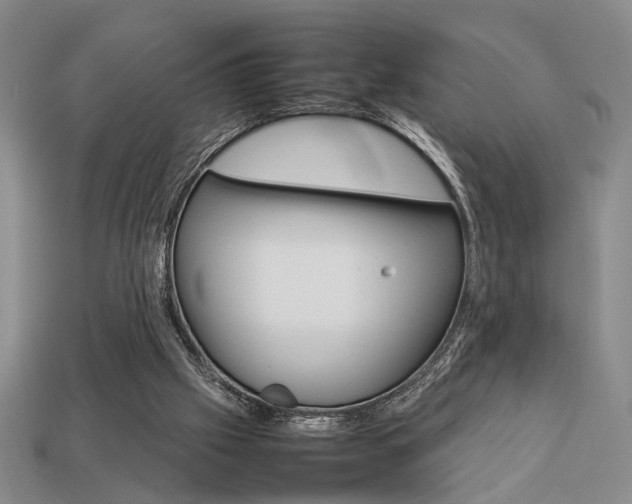 X0000113780057200909231050