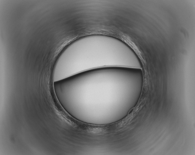 X0000113780058200909231050