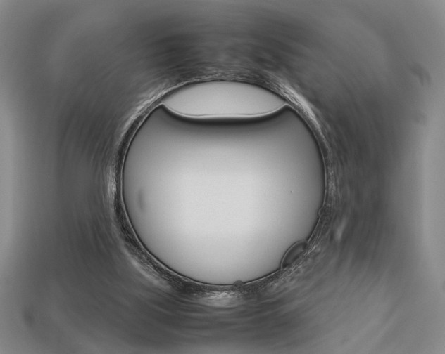 X0000113780059200909231050