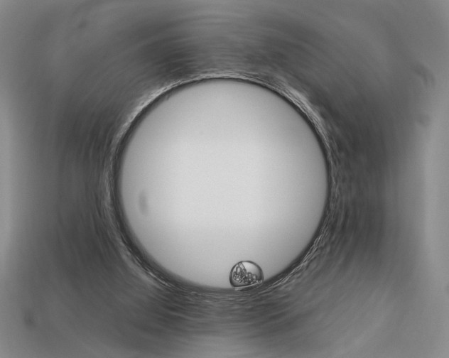 X0000113780060200909231050