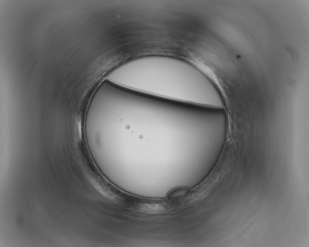 X0000113780061200909231050