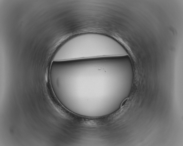 X0000113780062200909231050