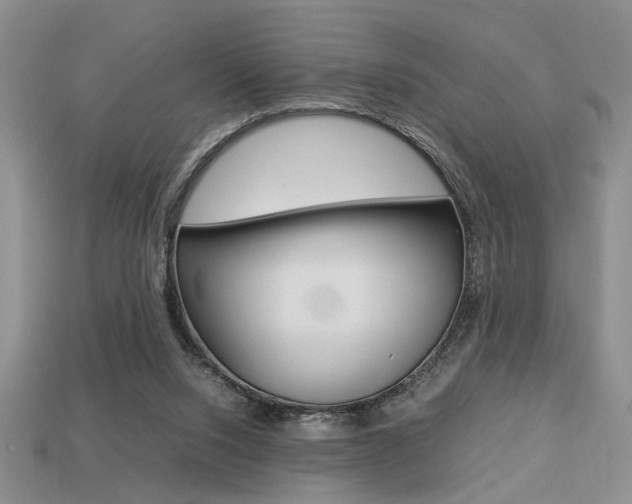 X0000113780064200909231050