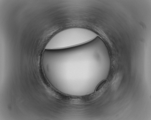 X0000113780066200909231050