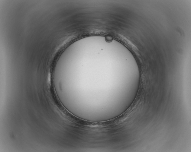 X0000113780067200909231050