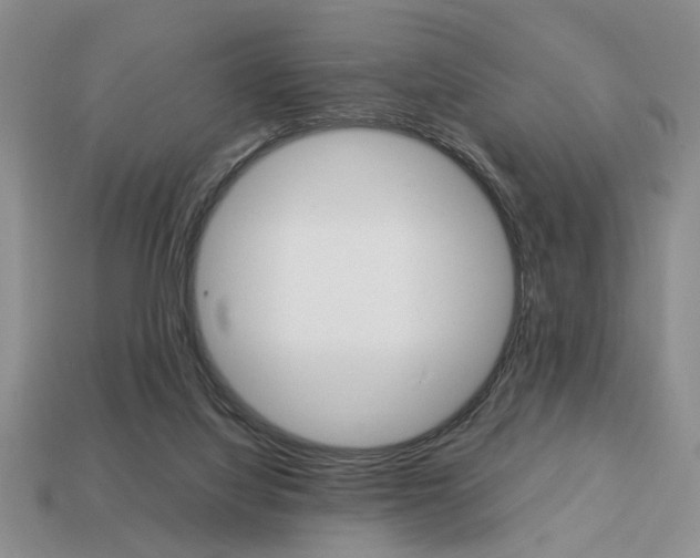 X0000113780068200909231050