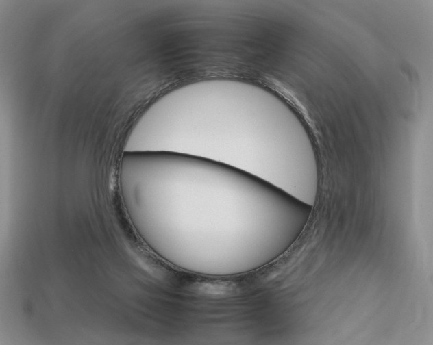 X0000113780069200909231050