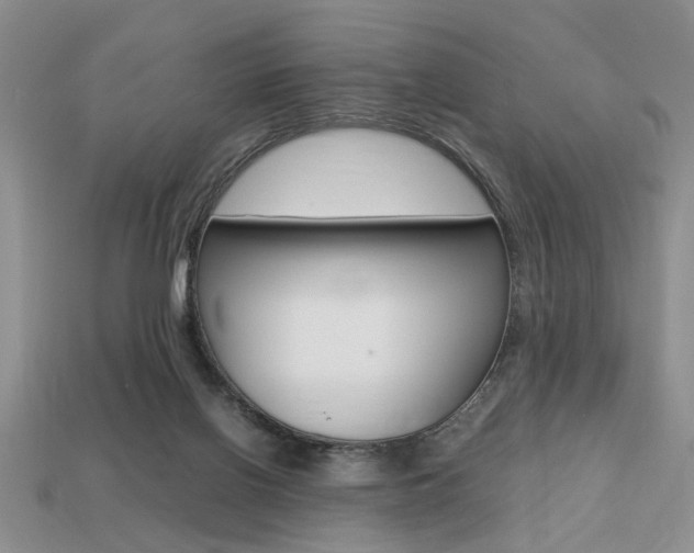 X0000113780070200909231050