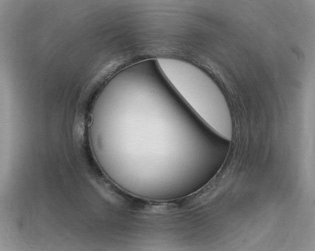 X0000113780072200909231050