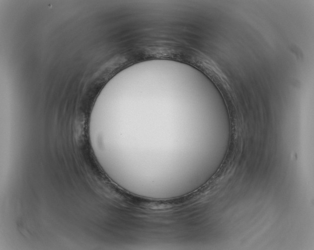 X0000113780073200909231050