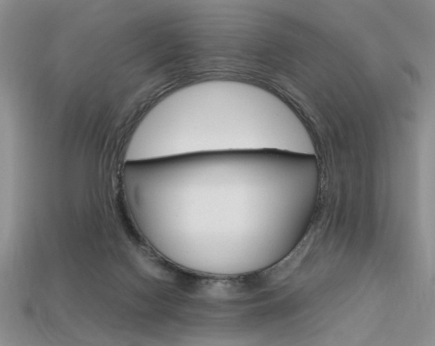 X0000113780074200909231050