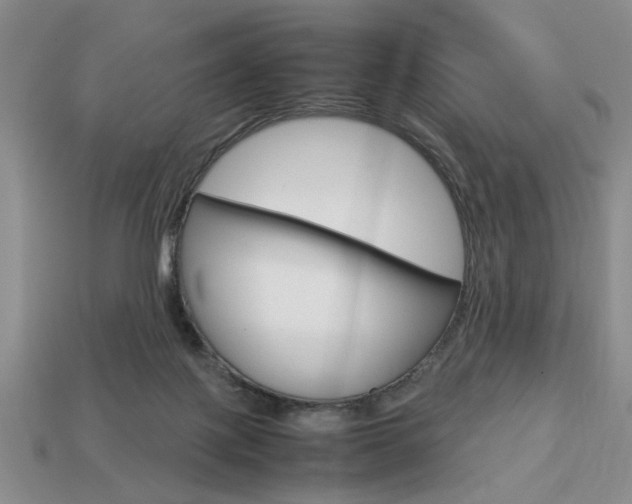 X0000113780075200909231050