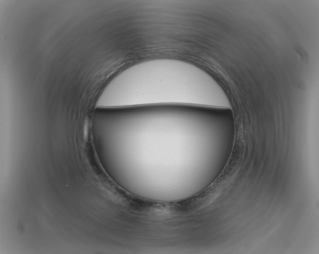 X0000113780076200909231050