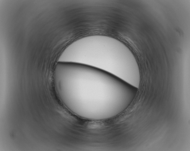 X0000113780077200909231050