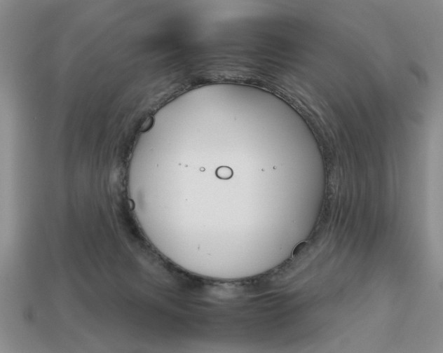 X0000113780079200909231050