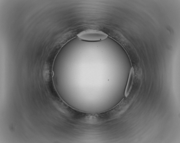 X0000113780080200909231050