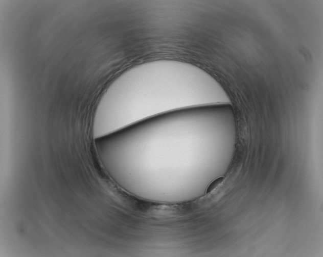X0000113780082200909231050