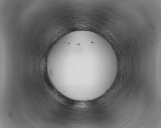 X0000113780083200909231050
