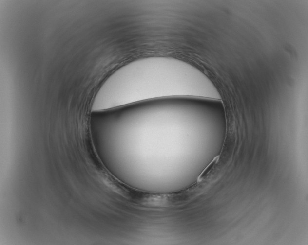 X0000113780084200909231050