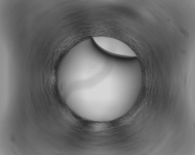 X0000113780085200909231050