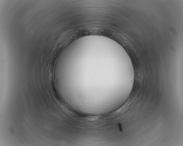 X0000113780086200909231050