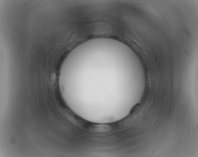 X0000113780087200909231050