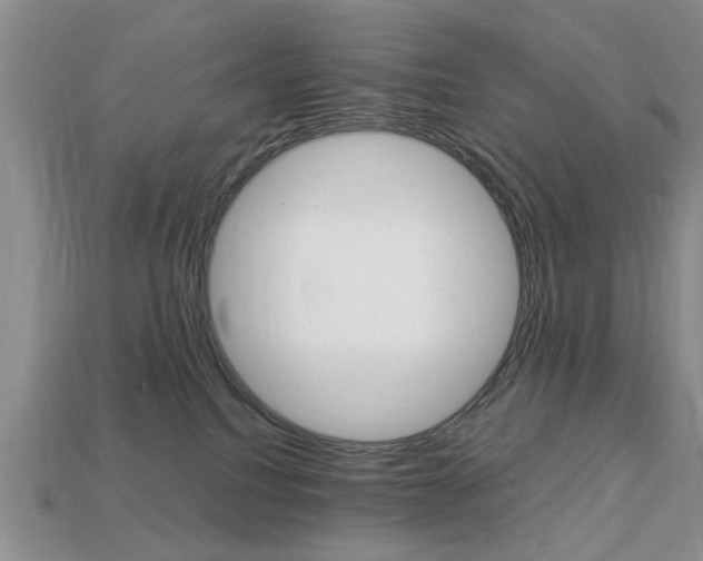 X0000113780088200909231050
