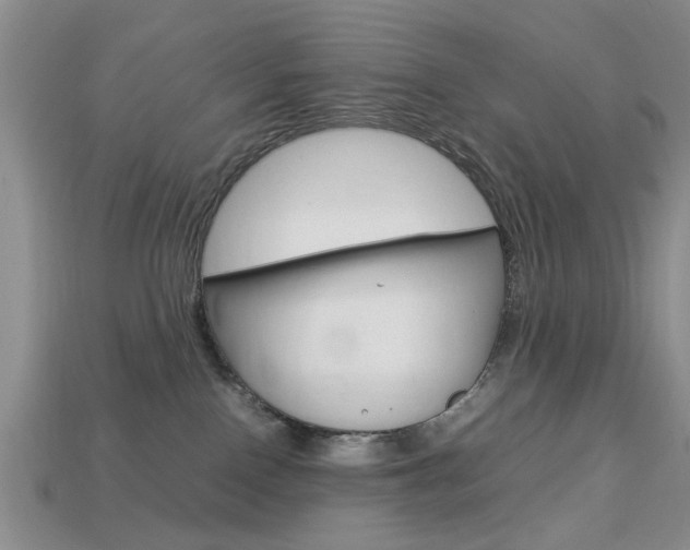 X0000113780090200909231050