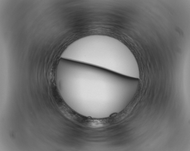 X0000113780091200909231050