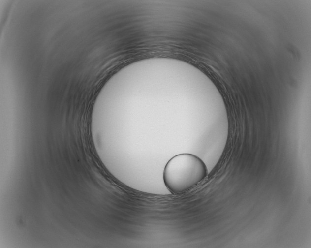 X0000113780092200909231050