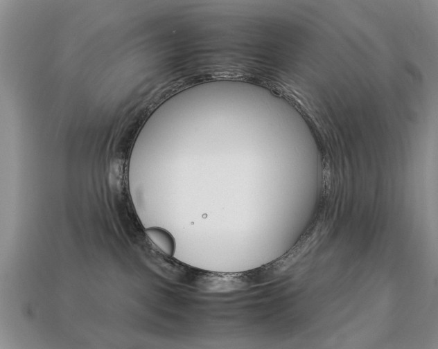 X0000113780093200909231050