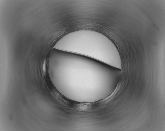 X0000113780094200909231050