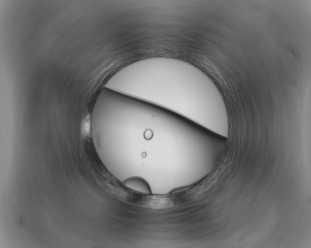 X0000113780095200909231050