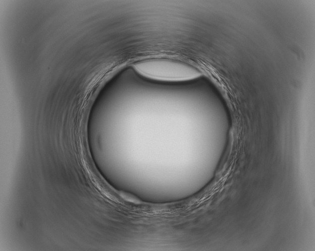 X0000113780097200909231050
