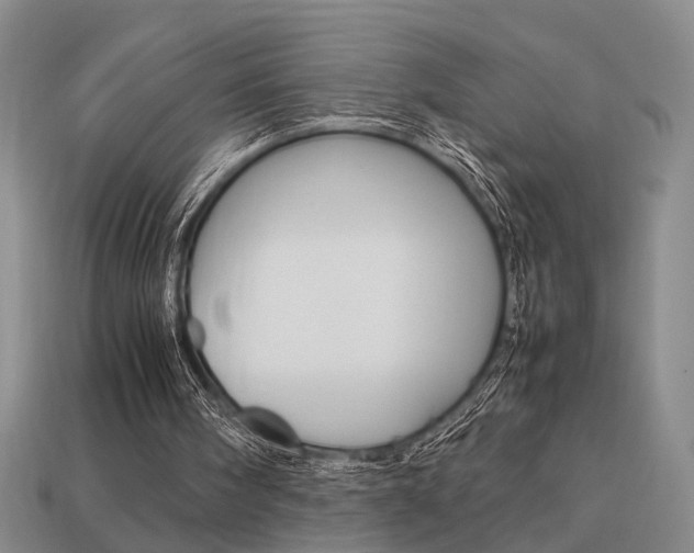 X0000113780098200909231050