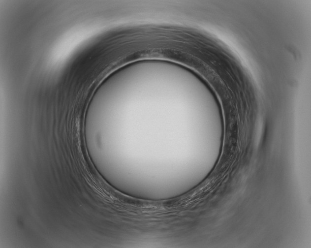X0000113780099200909231050