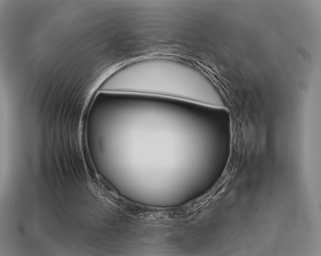X0000113780100200909231050