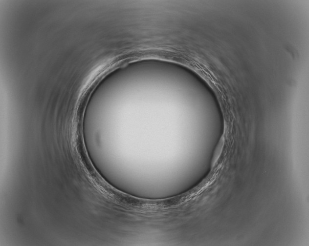 X0000113780101200909231050