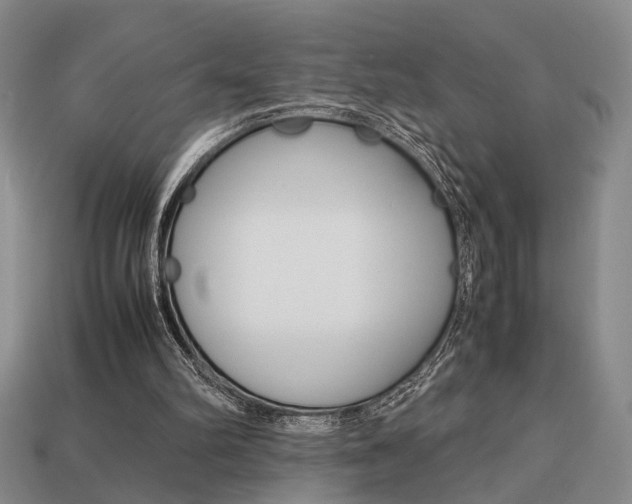 X0000113780102200909231050