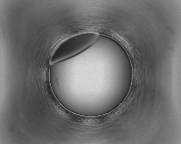 X0000113780105200909231049