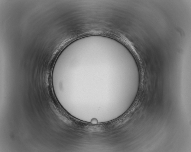 X0000113780106200909231049