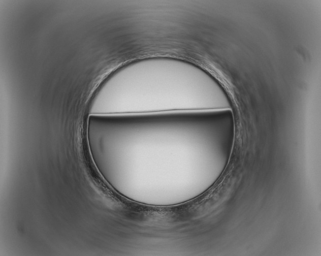 X0000113780107200909231049