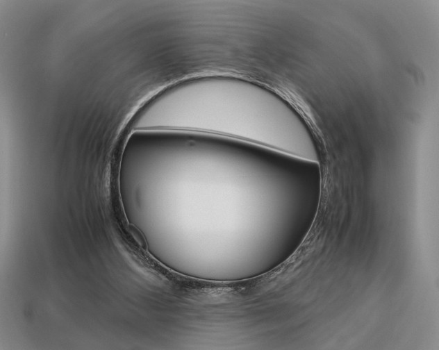X0000113780108200909231049