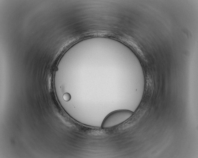 X0000113780110200909231049
