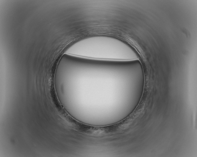 X0000113780113200909231049