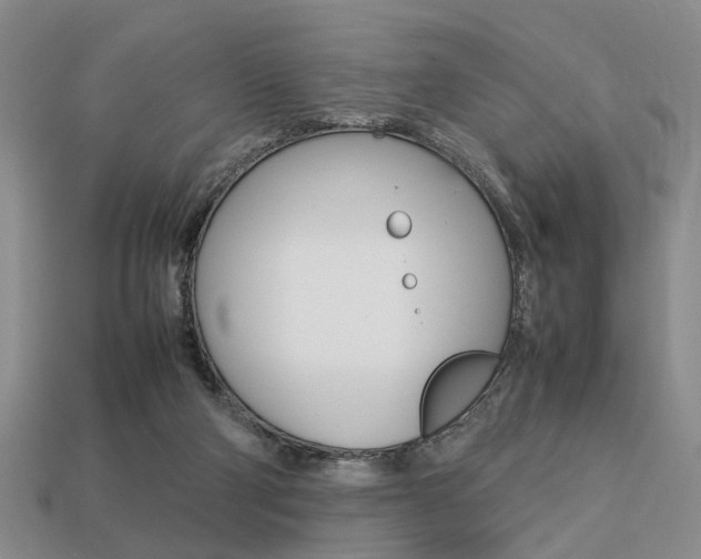 X0000113780114200909231049