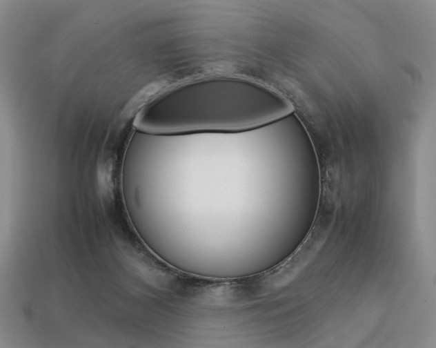 X0000113780116200909231049