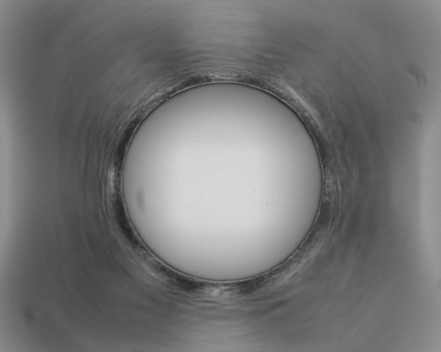 X0000113780117200909231049